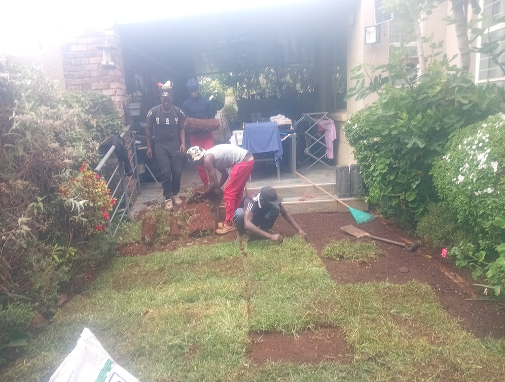A team of workers planting grass in Roodepoort