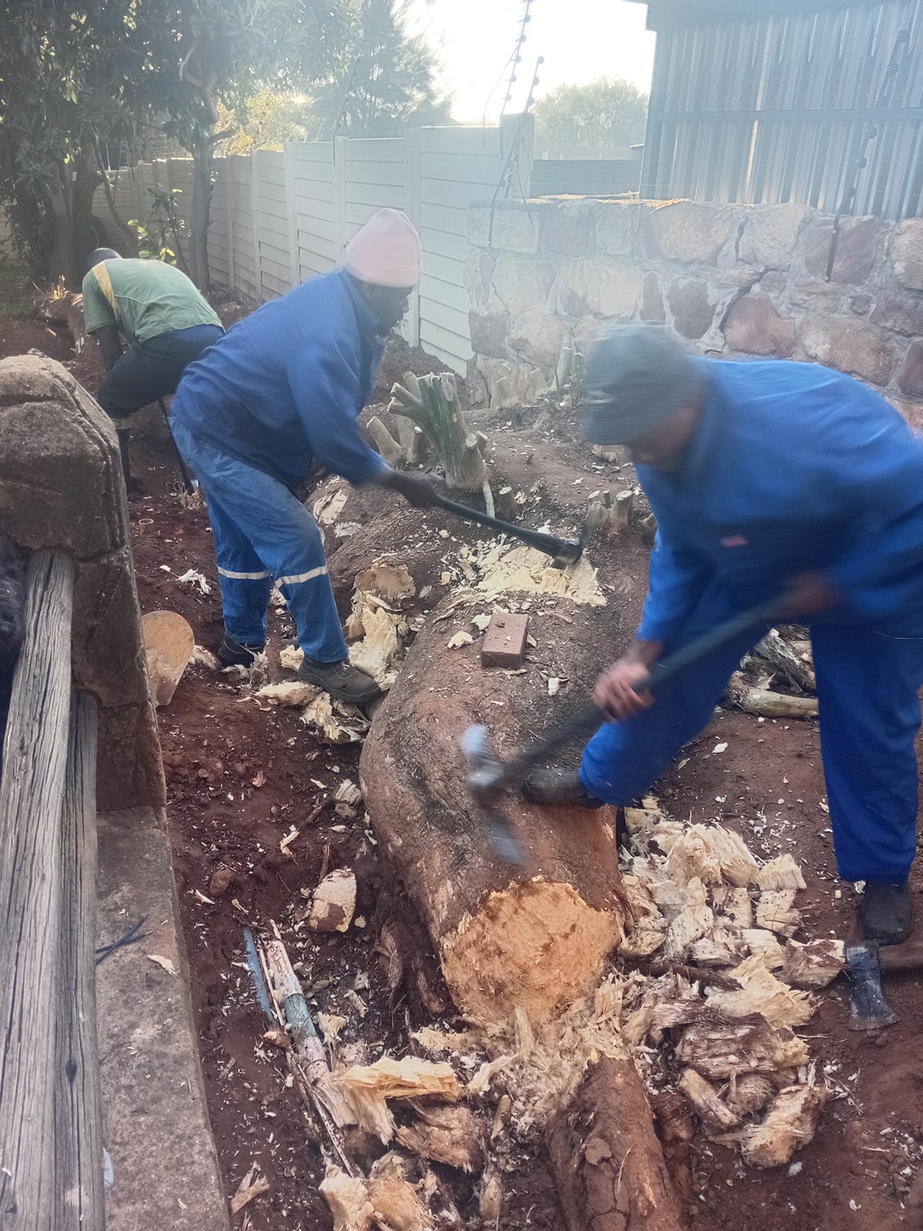 Our team removing a stump